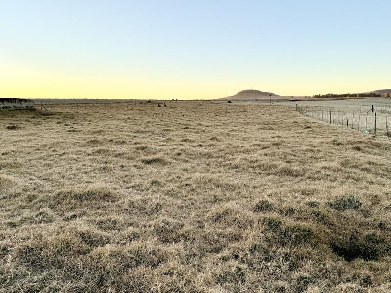 0 Bedroom Property for Sale in Warden Free State
